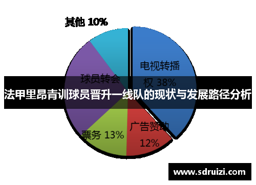 法甲里昂青训球员晋升一线队的现状与发展路径分析