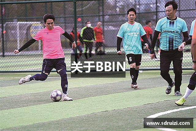 关于BBIN